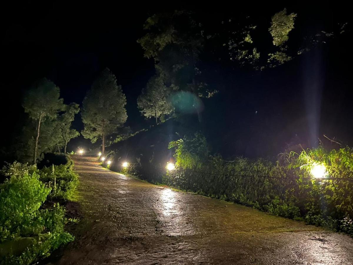 Mountain View Resort ناينيتال المظهر الخارجي الصورة